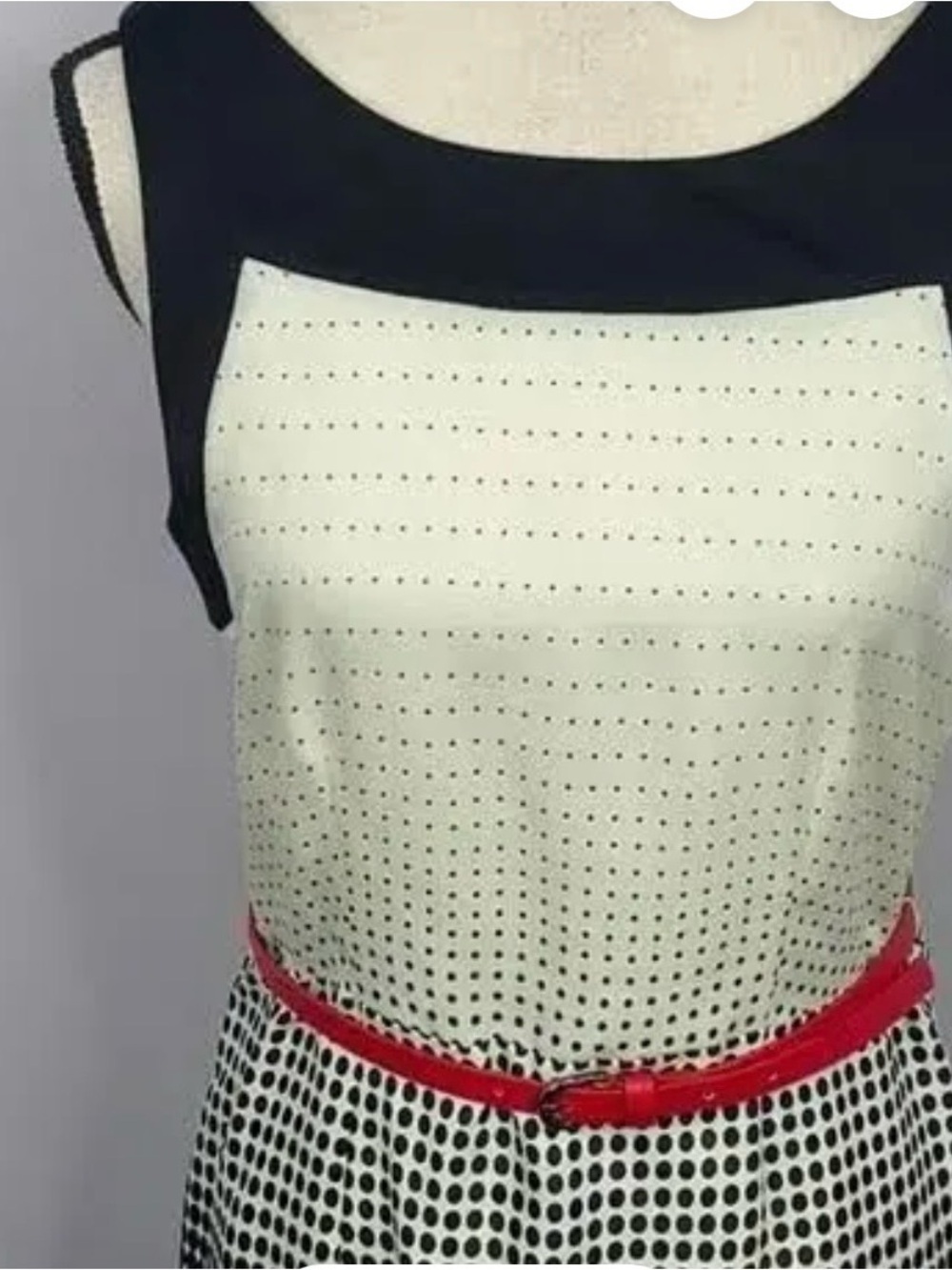 The Limited Black and Cream Polka Dot Dress with Red Belt